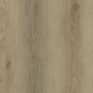 SPC – Cercis