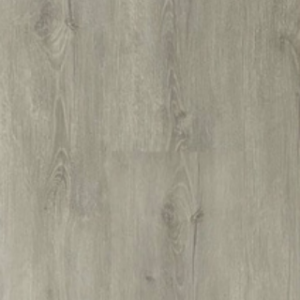 SPC – Betula